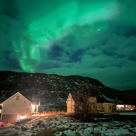 Northern Dream Lofoten