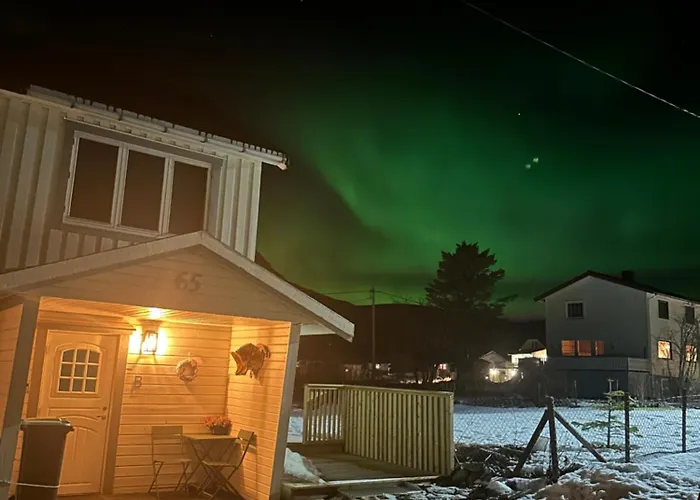 Northern Dream Lofoten
